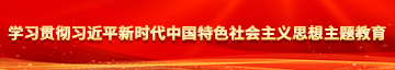 插逼大吊学习贯彻习近平新时代中国特色社会主义思想主题教育